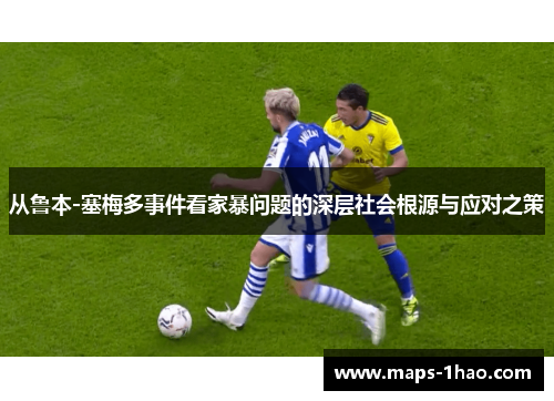 从鲁本-塞梅多事件看家暴问题的深层社会根源与应对之策