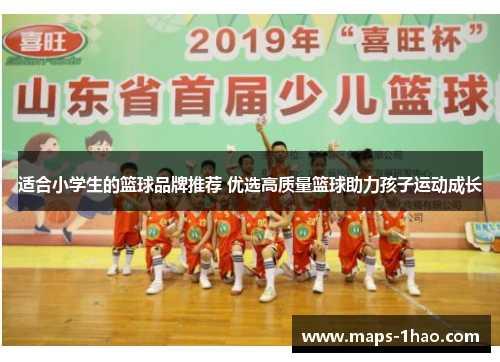 适合小学生的篮球品牌推荐 优选高质量篮球助力孩子运动成长