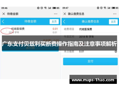 广东支付贝兹利买断费操作指南及注意事项解析