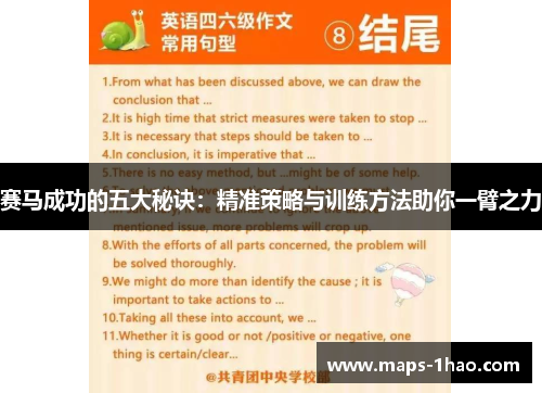 赛马成功的五大秘诀：精准策略与训练方法助你一臂之力